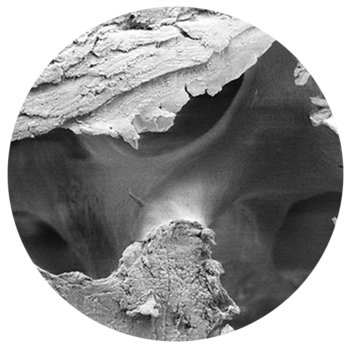 SEM image of MinerOss A at 100x magnification shows the macroporous structure (botiss biomaterials).