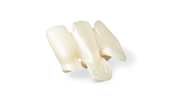 DEDICAM Gingival structure portion for bridges