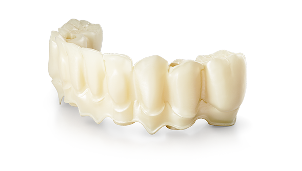 DEDICAM Gingival structure portion for implant bridges